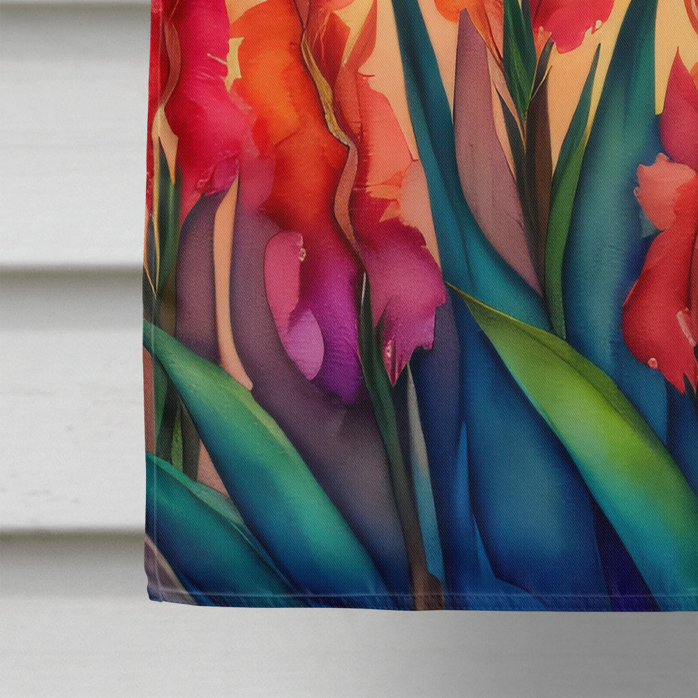 Gladiolus in Color House Flag